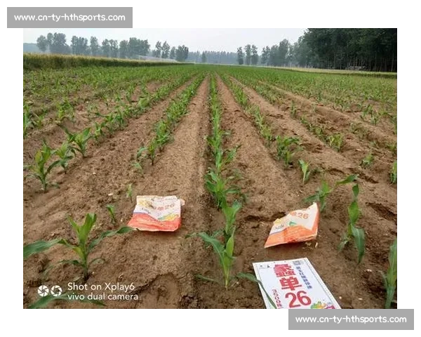 图赫尔更衣室暖心一幕:欧青赛夺冠后拥抱每位球员彰显领袖魅力 图赫尔更衣室暖心一幕:欧青赛夺冠后拥抱每位球员彰显领袖魅力